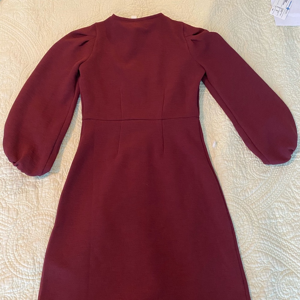 Madewell Balloon Sleeve Dress with Turtleneck - Picture 6 of 9
